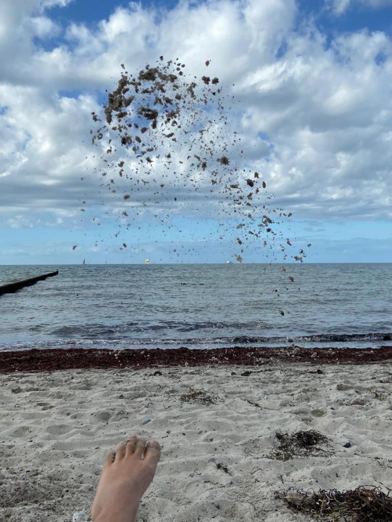 Ostsee-Ferienwohnung-Lipsia 奥斯特巴特宁哈根 外观 照片